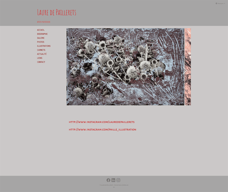Laure de Paillerets Visual Artist
