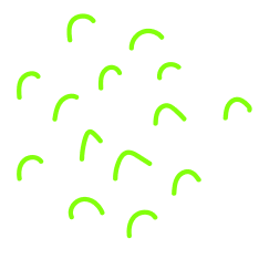 Online Store Creation